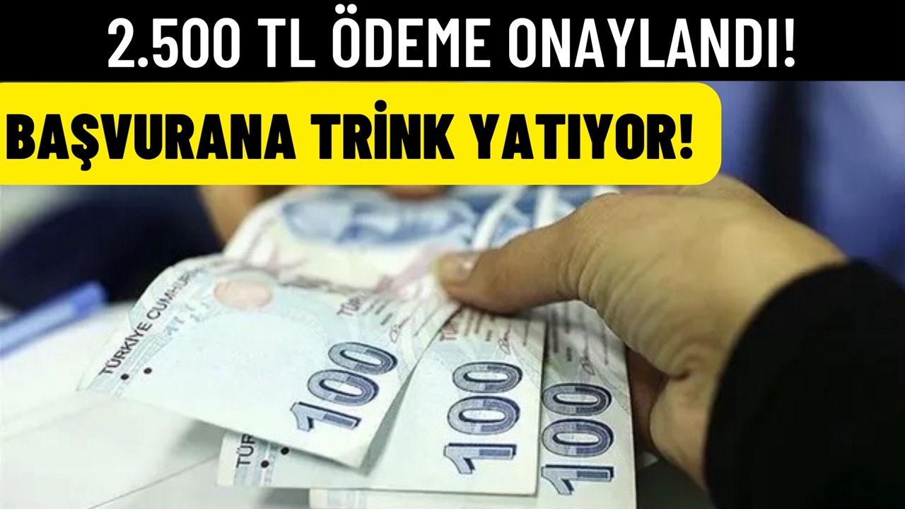 2500 TL ödeme onaylandı! Başvuranın hesabına trink yatıyor!