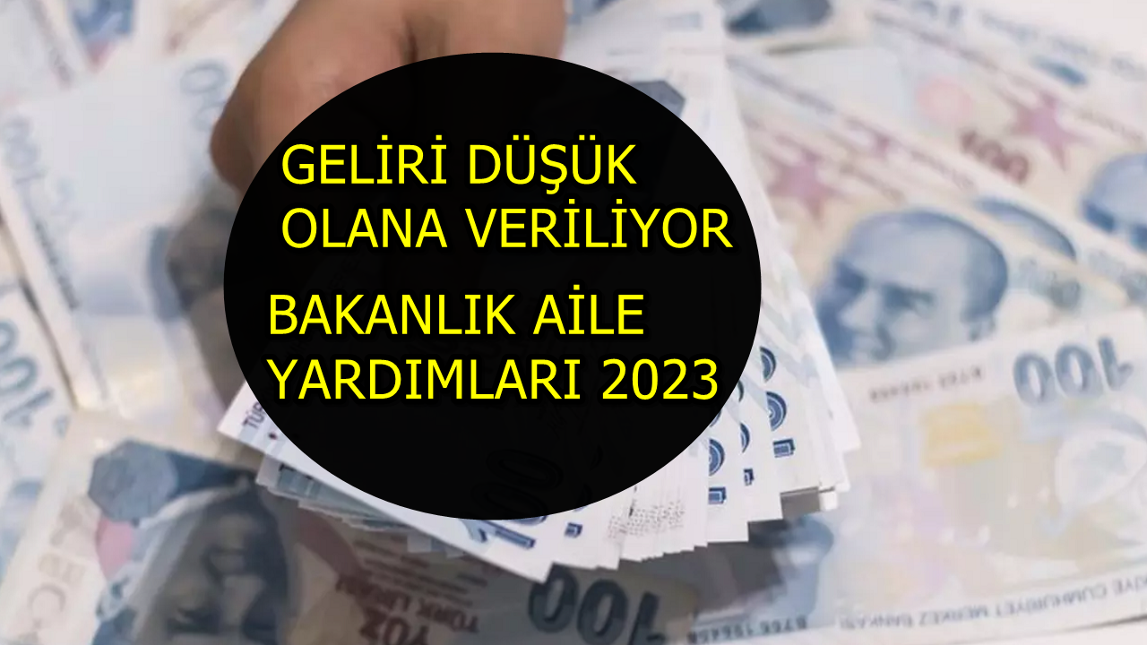 Alım Gücü Aşağıda Olan Ailelere 1250 TL Aylık Veriliyor! Durumunuz İyi Değilse Destek Programına Siz de Başvurun!