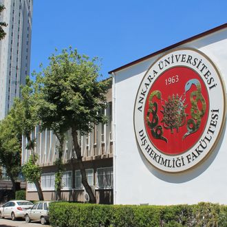 Ankara Üniversitesi, 74 Öğretim Üyesini İşe Alacaklarını Duyurdu