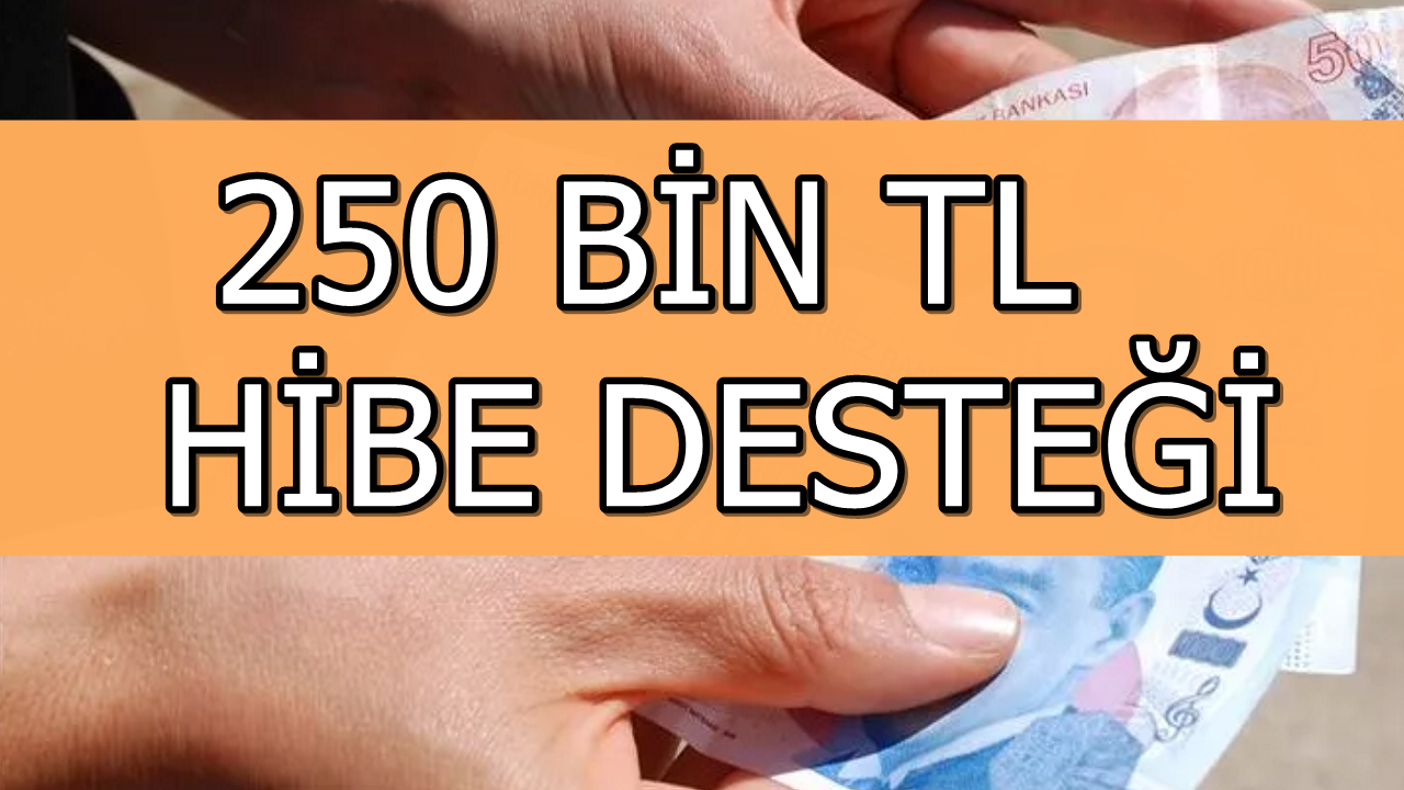 Kendi İşinin Patronu Olacaklar İçin 250 Bin TL Geri Ödemesiz Para Veriliyor! Bakanlık Başvuru Ekranını Açtı!