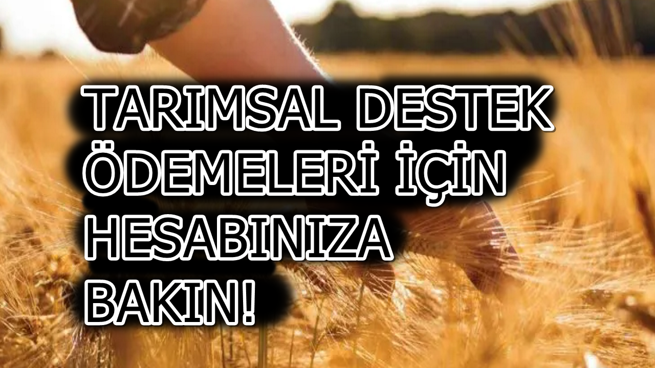 Tarımsal Destek Ödemeleri Dün Başladı: TC Kimlik Numaranıza Göre Mayıs Ayında Ödemeler Devam Edecek!